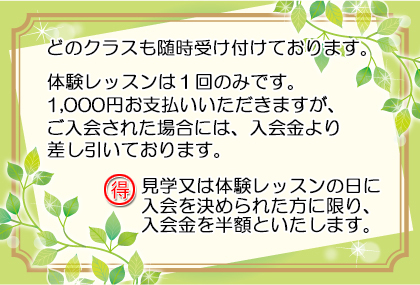 晴美バレエスタジオ体験レッスンのお得情報