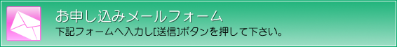 晴美バレエスタジオ体験レッスン申し込みフォーム